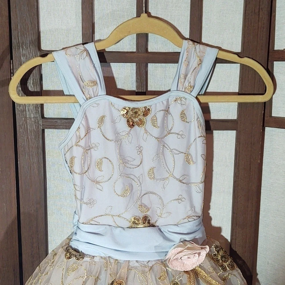 Weissman Lead The Way Sequin Embroidered Dance Dress tutu ballet 13466 Sz IC